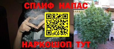 гашик Нягань